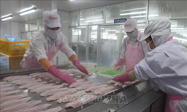 Vietnam's H1 seafood exports hit 4.4 billion USD