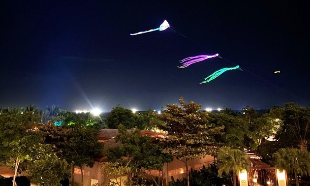 Quang Nam international kite festival 2024 attracts large crowds