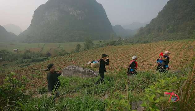 European-Vietnamese documentary film festival: A kaleidoscope of perspectives on life