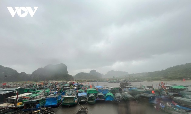 Typhoon Yagi hits Hai Phong, Quang Ninh with gusts of level 13 