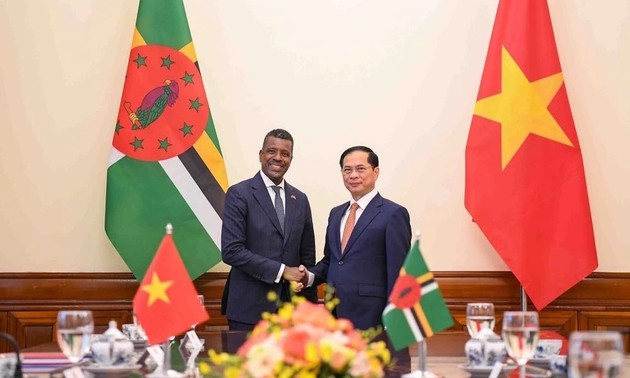 Vietnam keen on boosting cooperation with Dominica: Deputy PM