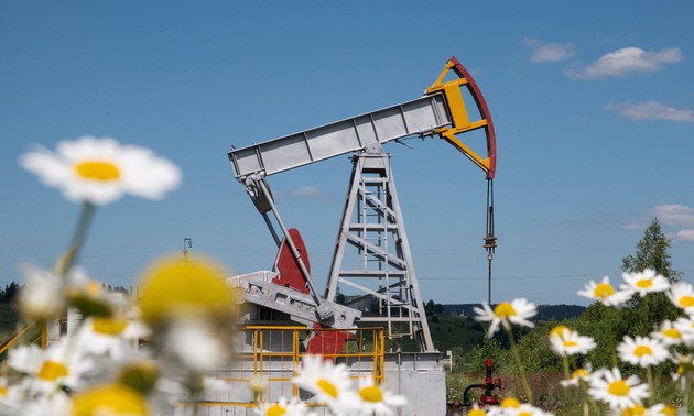 US urges NATO to halt purchases of Russian energy