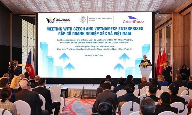 Czech Senate President meets Vietnamese, Czech businesses