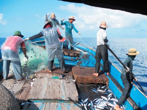 Fishing activities resumed at sea in Truong Sa