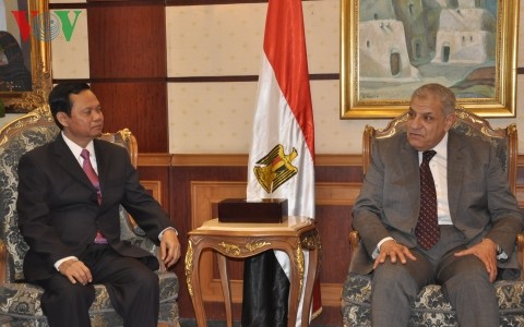 Inspector General Huynh Phong Tranh meets Egyptian Prime Minister