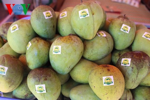 Son La exports more mangoes to UK