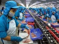 Aumenta el Delta del Río Mekong la exportación del pescado Tra