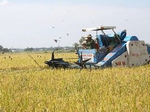 BAD convoca a recortar barreras comerciales al arroz para seguridad alimentaria