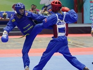 Campeonato Vovinam 2013 promueve arte marcial vietnamita