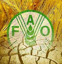 FAO llama a la alimentación sostenible y seguridad alimentaria 