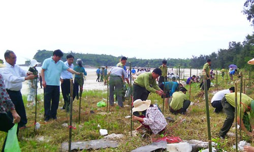 Localidades vietnamitas saludan el Día Mundial del Medio Ambiente 