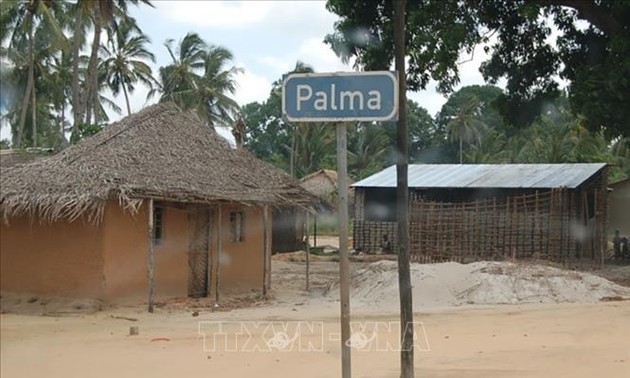 Ningún vietnamita herido en ataques terroristas en Mozambique