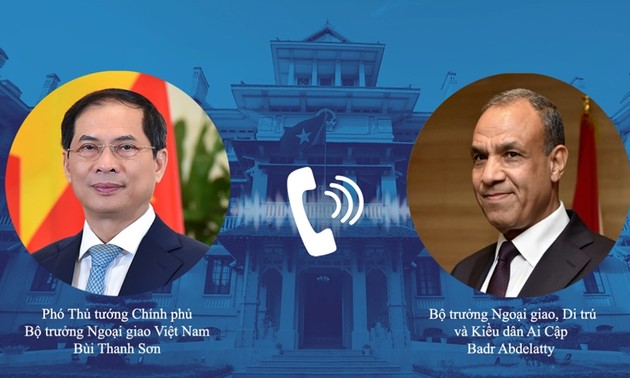 Vietnam y Egipto fortalecen cooperación multifacética