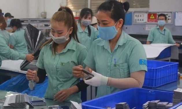 Empresas de Dong Nai y Ciudad Ho Chi Minh reanudan actividades productivas tras el Tet 
