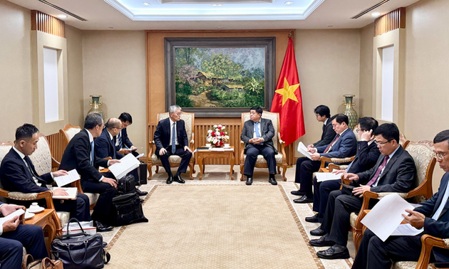 Vietnam da la bienvenida a inversiones japonesas en energía de biomasa