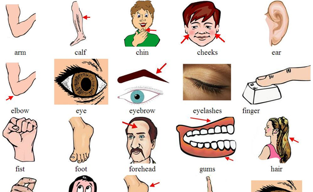 ร่างกาย (บทที่ 3)