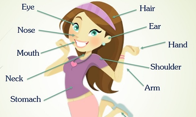 ร่างกาย (บทที่ 1)