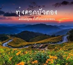 สวัสดีครับผู้จัดทำรายการภาคภาษาไทยทุกท่าน