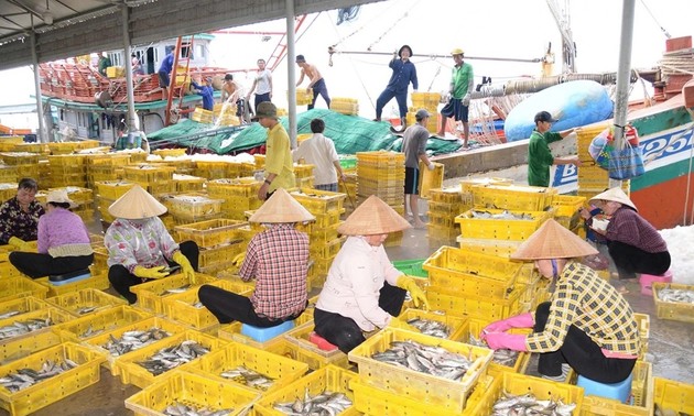 ผลงานในเชิงบวกในการป้องกันและต่อต้านการทำประมง IUU ในจังหวัดด่งทาบ