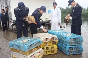 Vietnam tightens precautions against A/H7N9