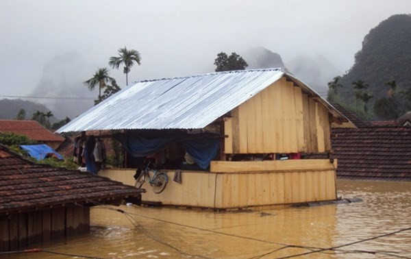 Danish architect exhibits Vietnamese floating houses 