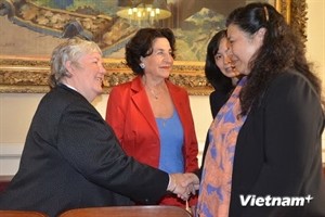 Vietnam, France to foster ties