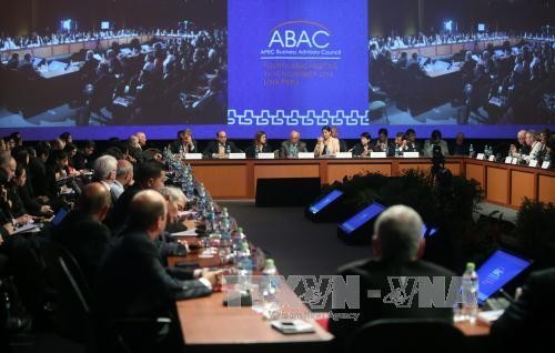 2016 APEC Economic Leaders' Week kicks off in Peru