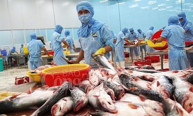 Tra fish exports eye 2.4 billion USD in 2019