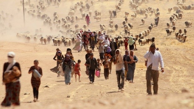 UNHCR says forced displacement had exceeded 80 million by mid-2020