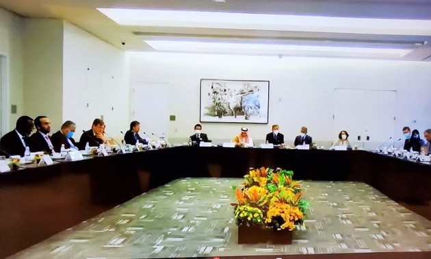 Vietnam advocates global cooperation in COVID-19 response