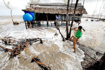 Vietnam engagiert sich mit der internationalen Gemeinschaft für die Anpassung an den Klimawandel