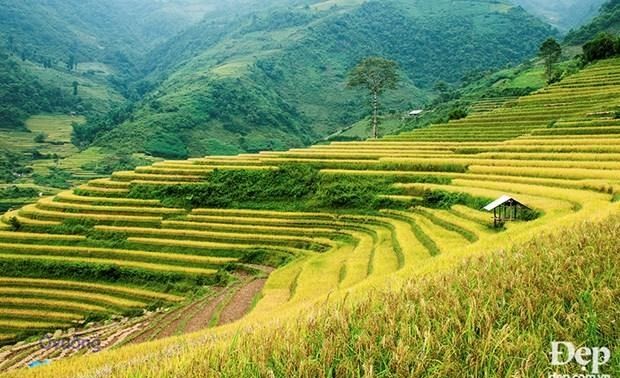 Entdeckung der Reisterrassen Mu Cang Chai und das Kulturfest Muong Lo