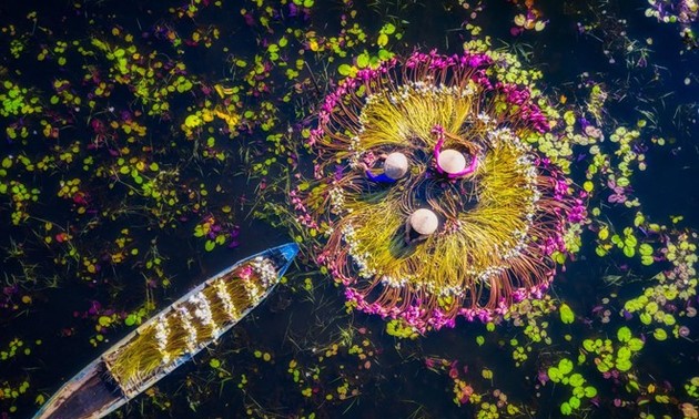 Foto des britischen Fotografen über mobile Verkaufsstände von lebenden Zierfischen in Vietnam gewann Grand Prize in USA