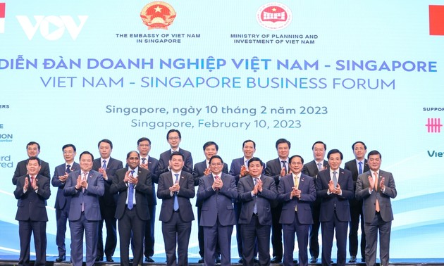 Premierminister Pham Minh Chinh nimmt am Vietnam-Singapur-Unternehmensforum teil