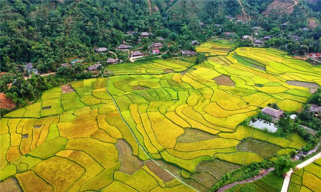 Das Fest „Gelbe Farbe am Nam Luong-Fluss” in Lao Cai