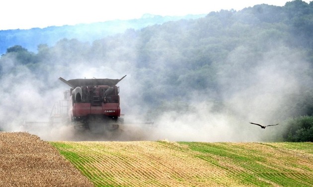 EU schlägt Schutzmaßnahmen zur Verhinderung der Marktstörungen durch Ukraine vor