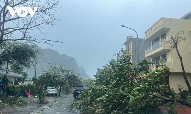 Taifun Yagi zieht über Hai Phong und Quang Ninh 