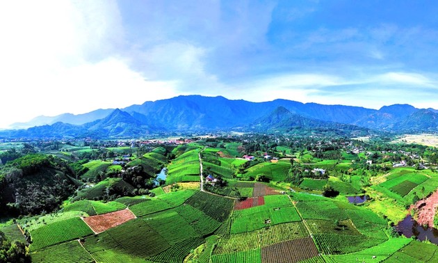 Schönste Teehügel in Thai Nguyen bewundern