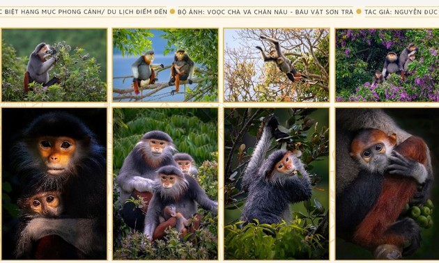 Foto-Wettbewerb „Reise des Erbes 2025” gestartet