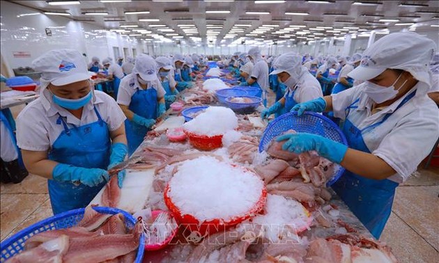 Erstes Quartal: Export von land- und forstwirtschaftlichen Produkten und Meeresfrüchten steigt um über 13 Prozent