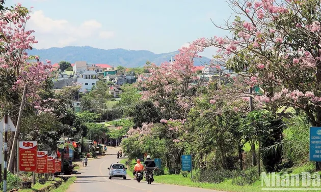 Kulturelle Schönheit der Provinz Lam Dong in Hanoi vorgestellt
