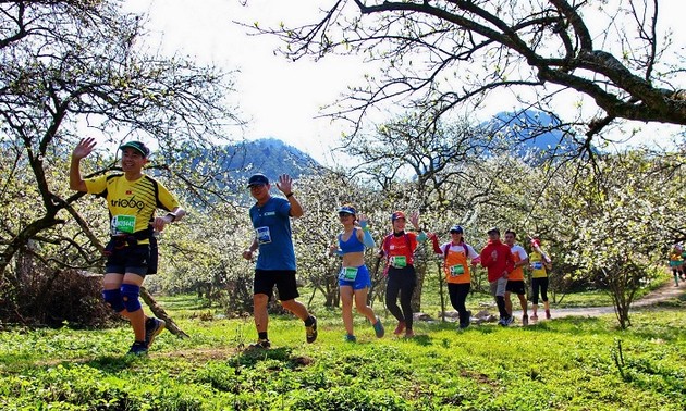 Son La entwickelt den Tourismus mit Schwerpunkten