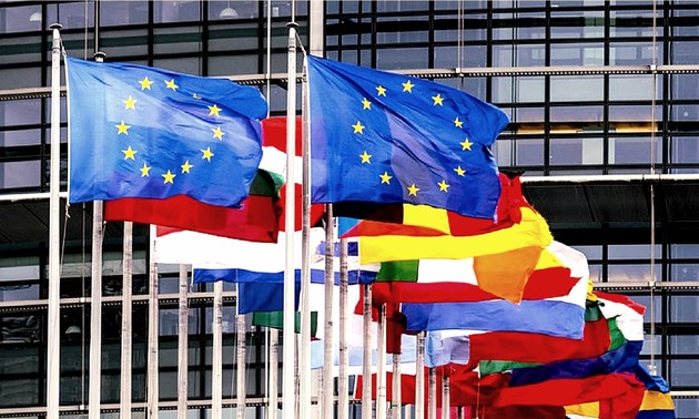 EU gründet neues Zentrum der EDMO zur Bekämpfung von Desinformation