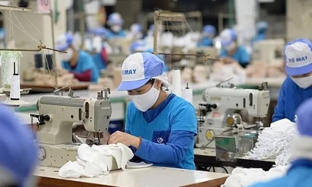 Textil- und Bekleidungsbranche bemüht sich um Verwirklichung der Exportziele