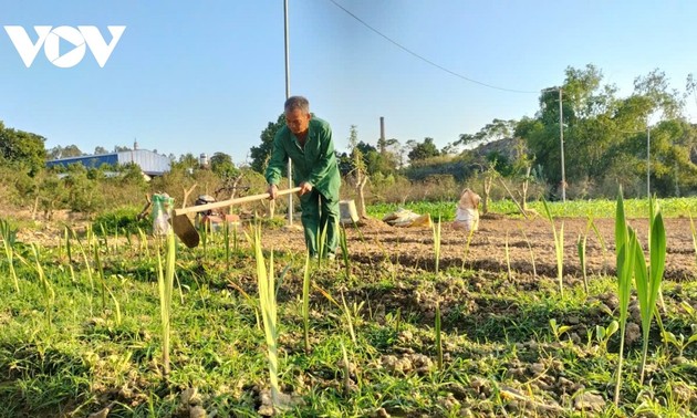 Wiederbelebung im Pfirsichanbaugebiet Cam Gia in der Provinz Thai Nguyen