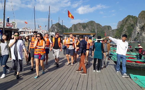 Ha Long Bay welcomes 26,000 visitors on New Year holiday  