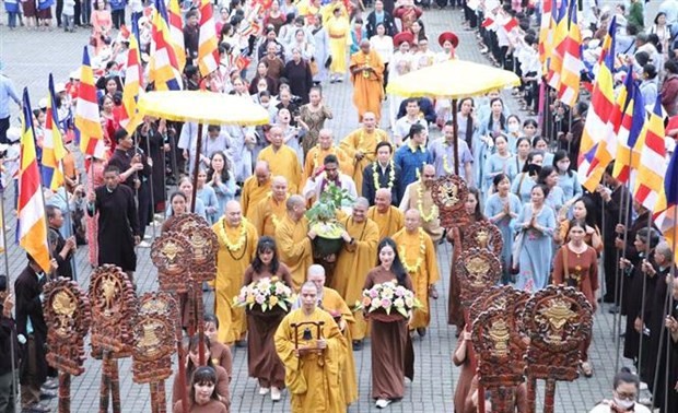 Sapling from world's longest-living Bodhi tree planted at Bai Dinh pagoda