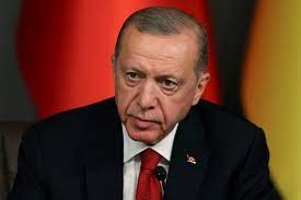 Erdogan links Sweden's NATO membership to Turkey's EU accession