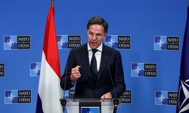 NATO picks Netherlands' Mark Rutte as next boss