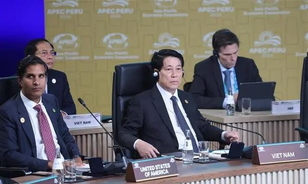 Vietnamese State President’s speech at 31st APEC Economic Leaders' Meeting